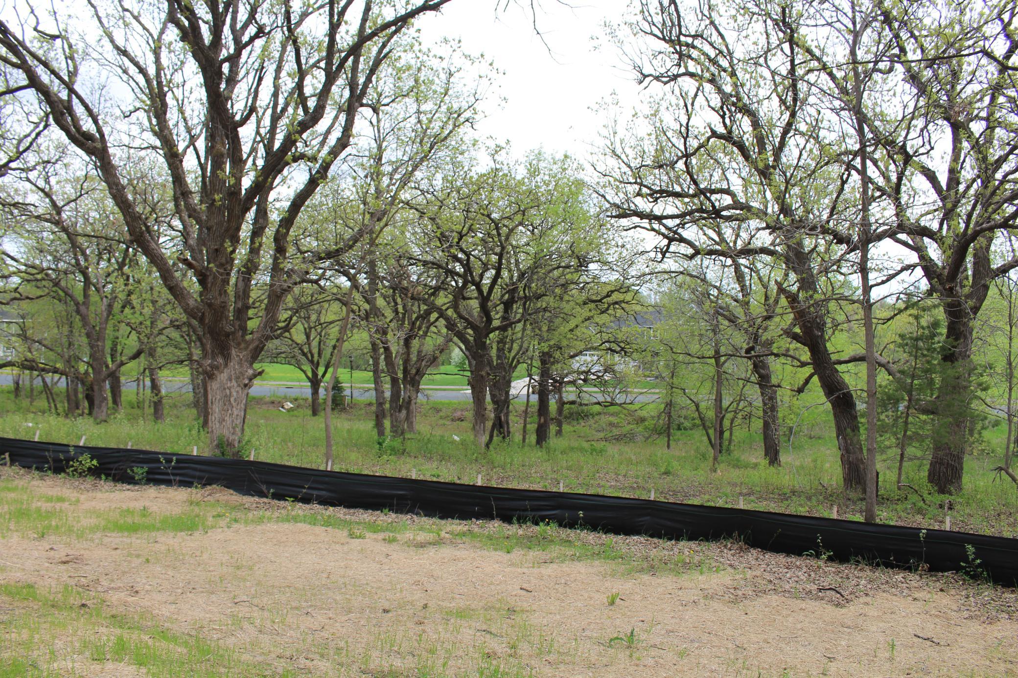 View of Land at 1730 River Shore Drive, Hastings MN 55033, Hastings (12 of 16) - Mike Wilen | Minnesota Team Real Estate