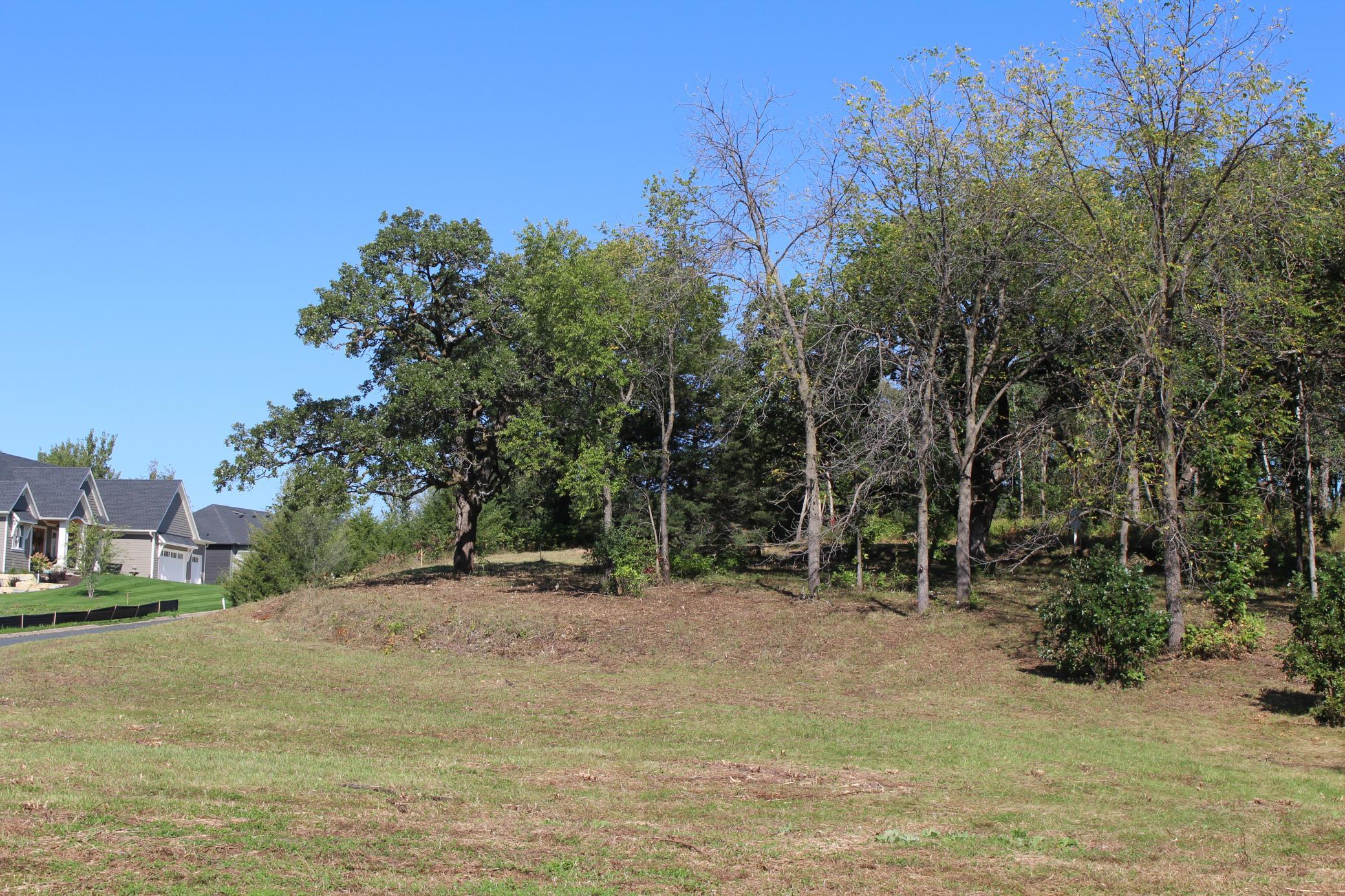 View of Land at 1730 River Shore Drive, Hastings MN 55033, Hastings (3 of 16) - Mike Wilen | Minnesota Team Real Estate