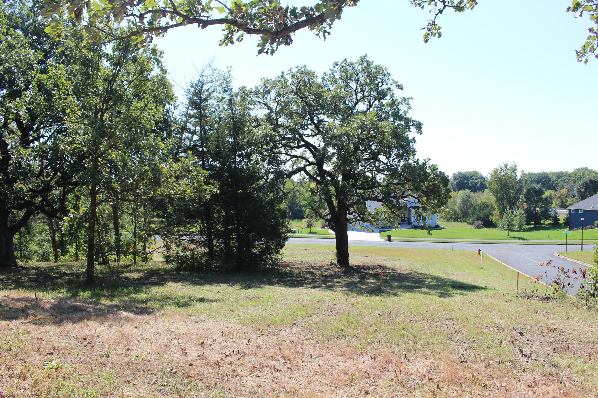 View of Land at 1730 River Shore Drive, Hastings MN 55033, Hastings (4 of 16) - Mike Wilen | Minnesota Team Real Estate