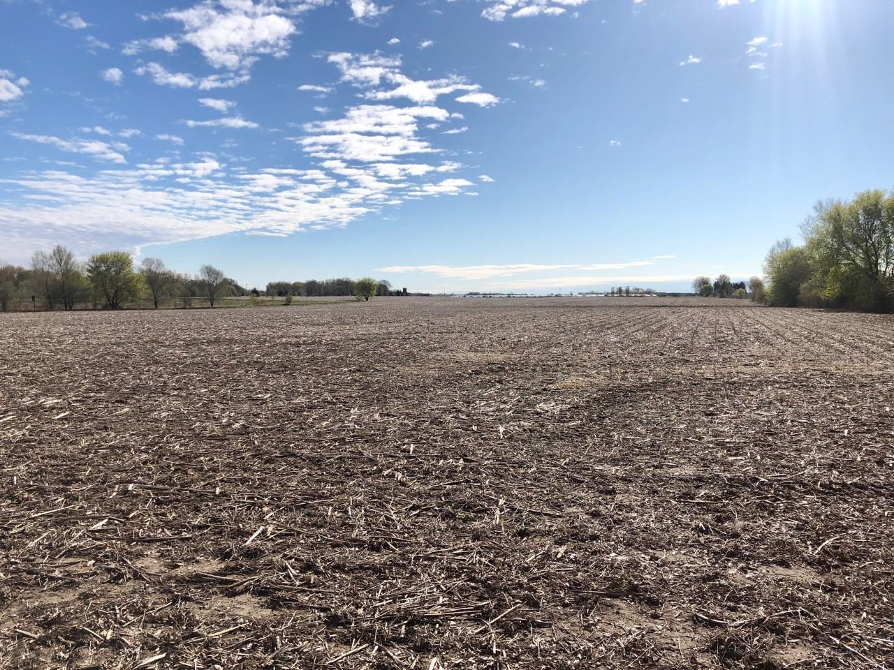 View of Land at xxx 200th St. West, Farmington MN 55068, Farmington (2 of 5) - Mike Wilen | Minnesota Team Real Estate
