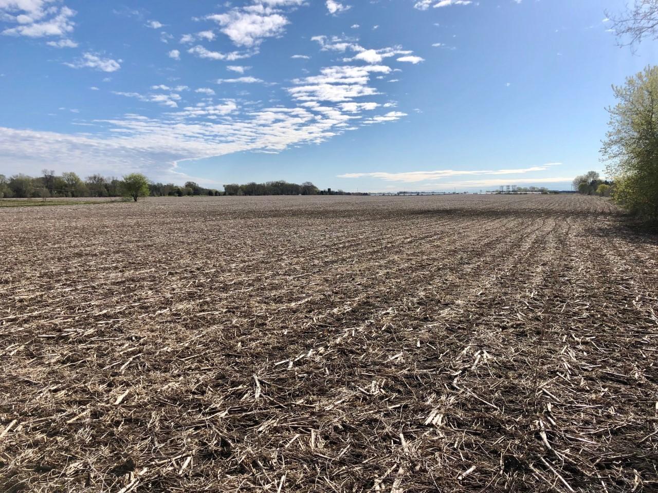View of Land at xxx 200th St. West, Farmington MN 55068, Farmington (4 of 5) - Mike Wilen | Minnesota Team Real Estate