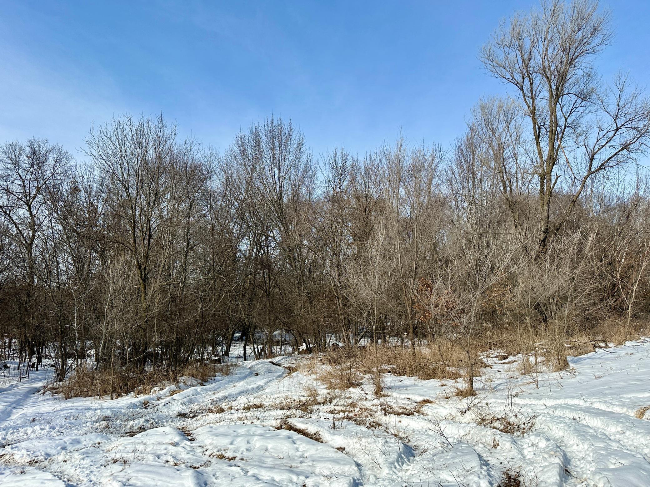 View of Land at 24xxx River Hills Court, Isanti MN 55040, Isanti - Mike Wilen | Minnesota Team Real Estate