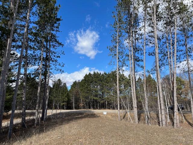 View of Land at 8982 Ryan Lake Drive, Linwood Twp MN 55079, Linwood Twp - Mike Wilen | Minnesota Team Real Estate