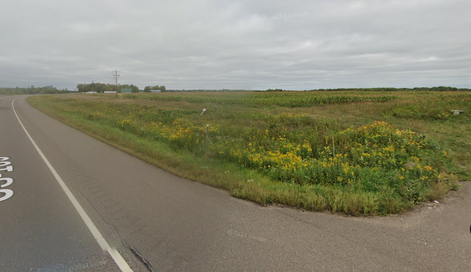 View of Land at 197xx US Hwy 169, Milaca MN 56353, Milaca (3 of 4) - Mike Wilen | Minnesota Team Real Estate