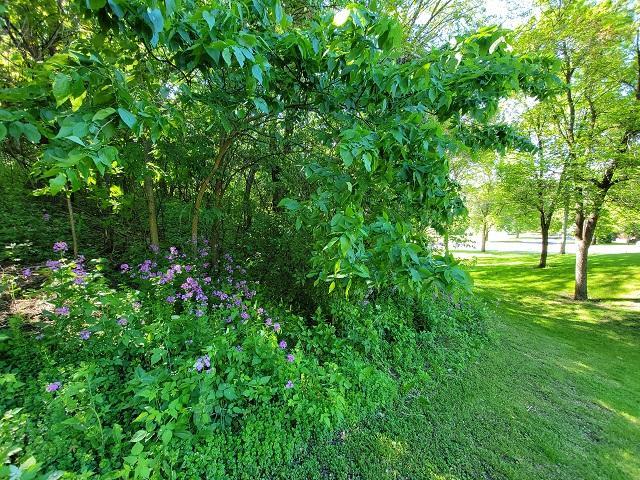 View of Land at XXX Church Street, Belle Plaine MN 56011, Belle Plaine (23 of 31) - Mike Wilen | Minnesota Team Real Estate
