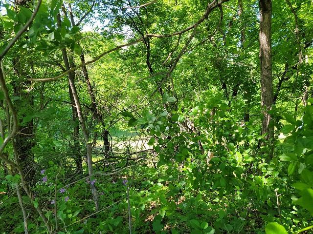 View of Land at XXX Church Street, Belle Plaine MN 56011, Belle Plaine (27 of 31) - Mike Wilen | Minnesota Team Real Estate
