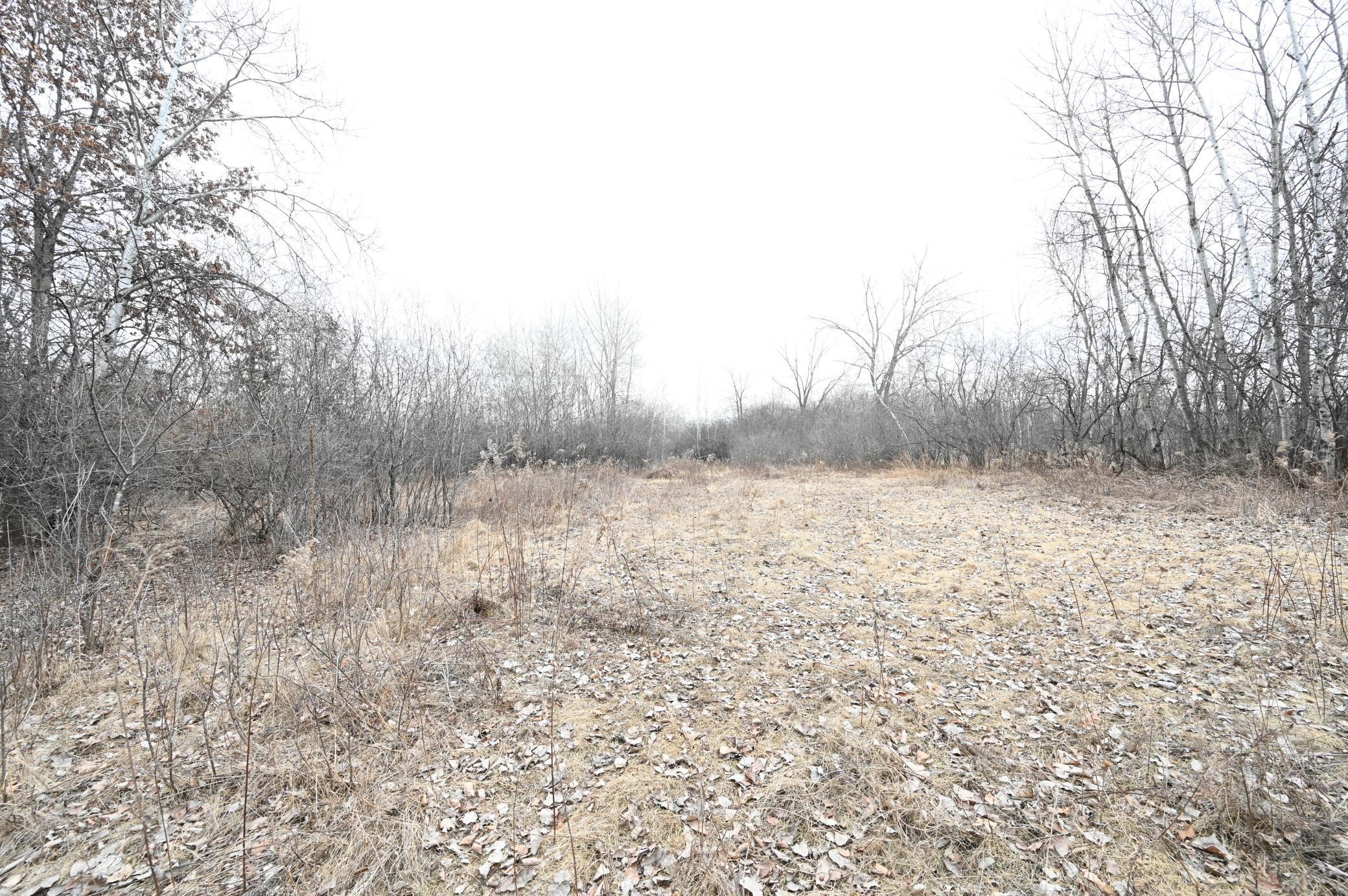 View of Land at 1660 Northdale Boulevard, Coon Rapids MN 55448, Coon Rapids (8 of 10) - Mike Wilen | Minnesota Team Real Estate