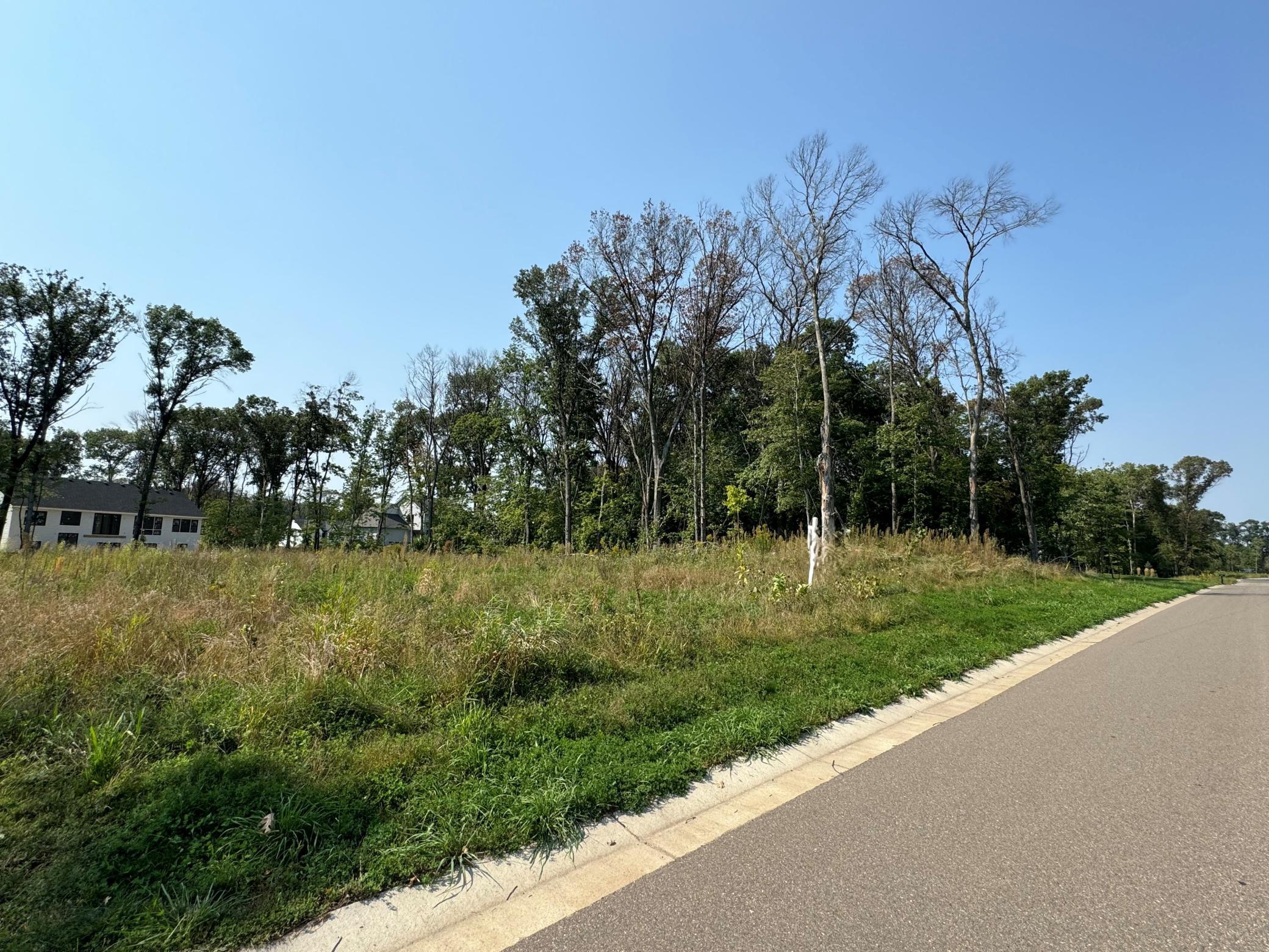 View of Land at 14636 Packard Street, Ham Lake MN 55304, Ham Lake (2 of 5) - Mike Wilen | Minnesota Team Real Estate