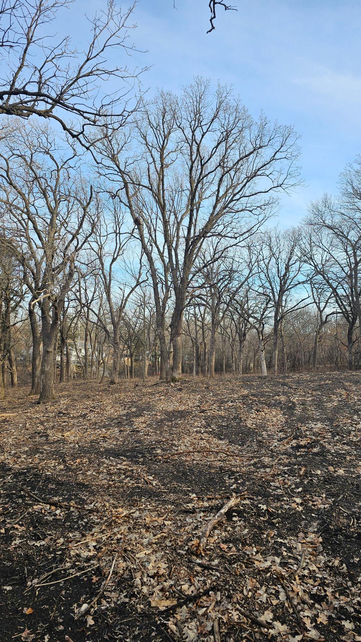 View of Land at XXX Adair, Buffalo MN 55313, Buffalo - Mike Wilen | Minnesota Team Real Estate