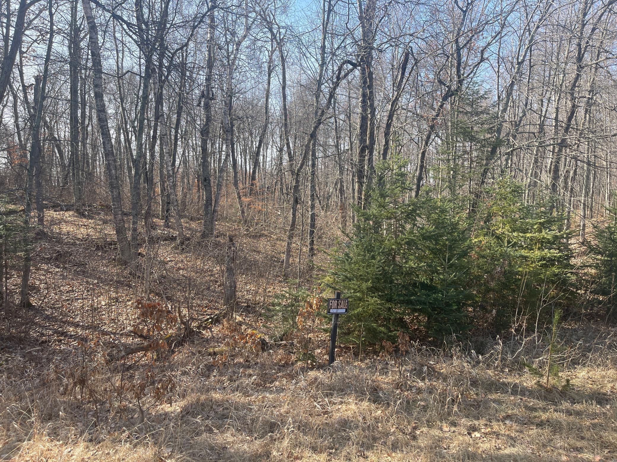 View of Land at Lots 129-131 Ski Chalet Drive, Breezy Point MN 56472, Breezy Point (3 of 17) - Mike Wilen | Minnesota Team Real Estate
