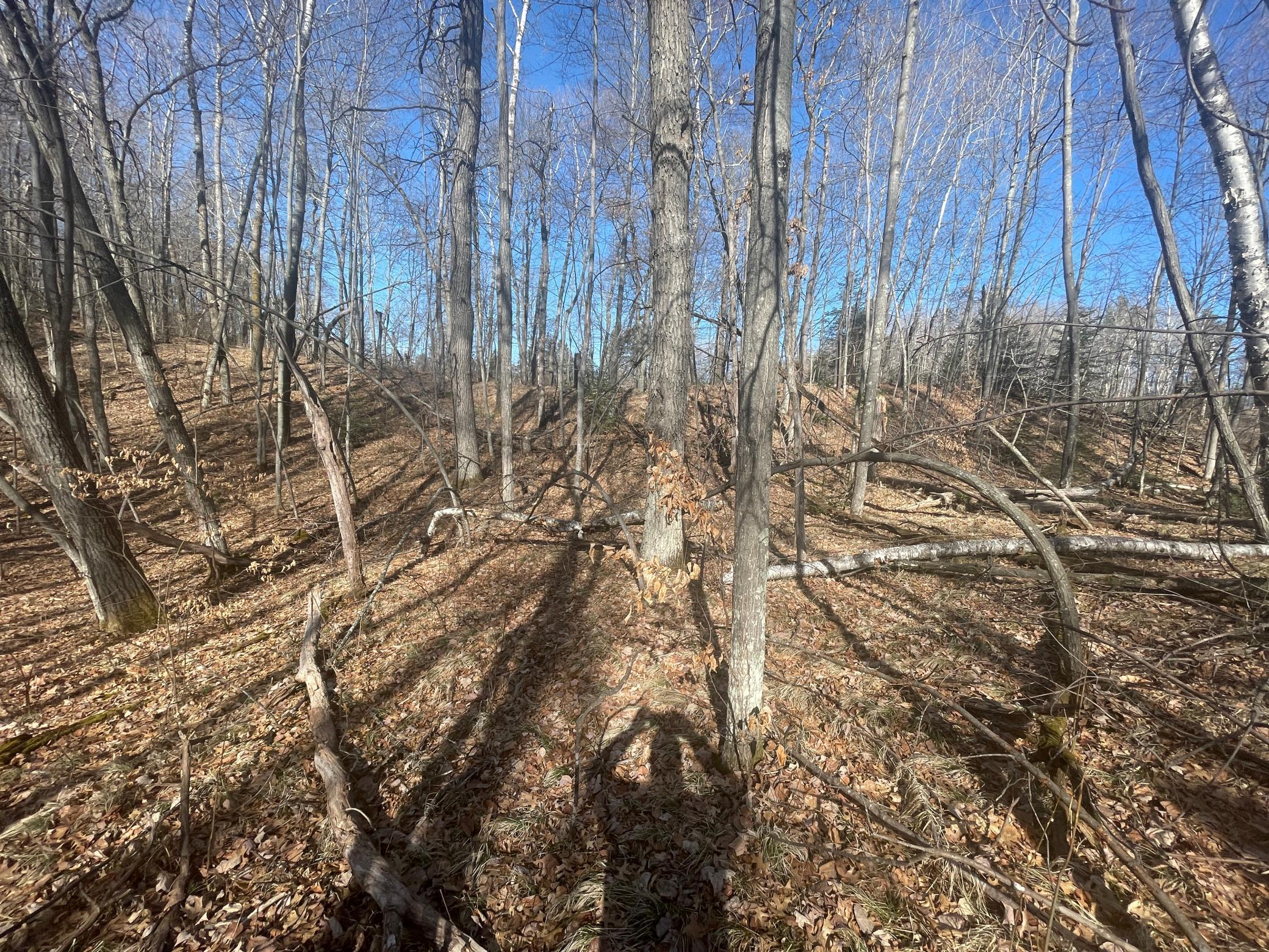 View of Land at Lots 129-131 Ski Chalet Drive, Breezy Point MN 56472, Breezy Point (5 of 17) - Mike Wilen | Minnesota Team Real Estate