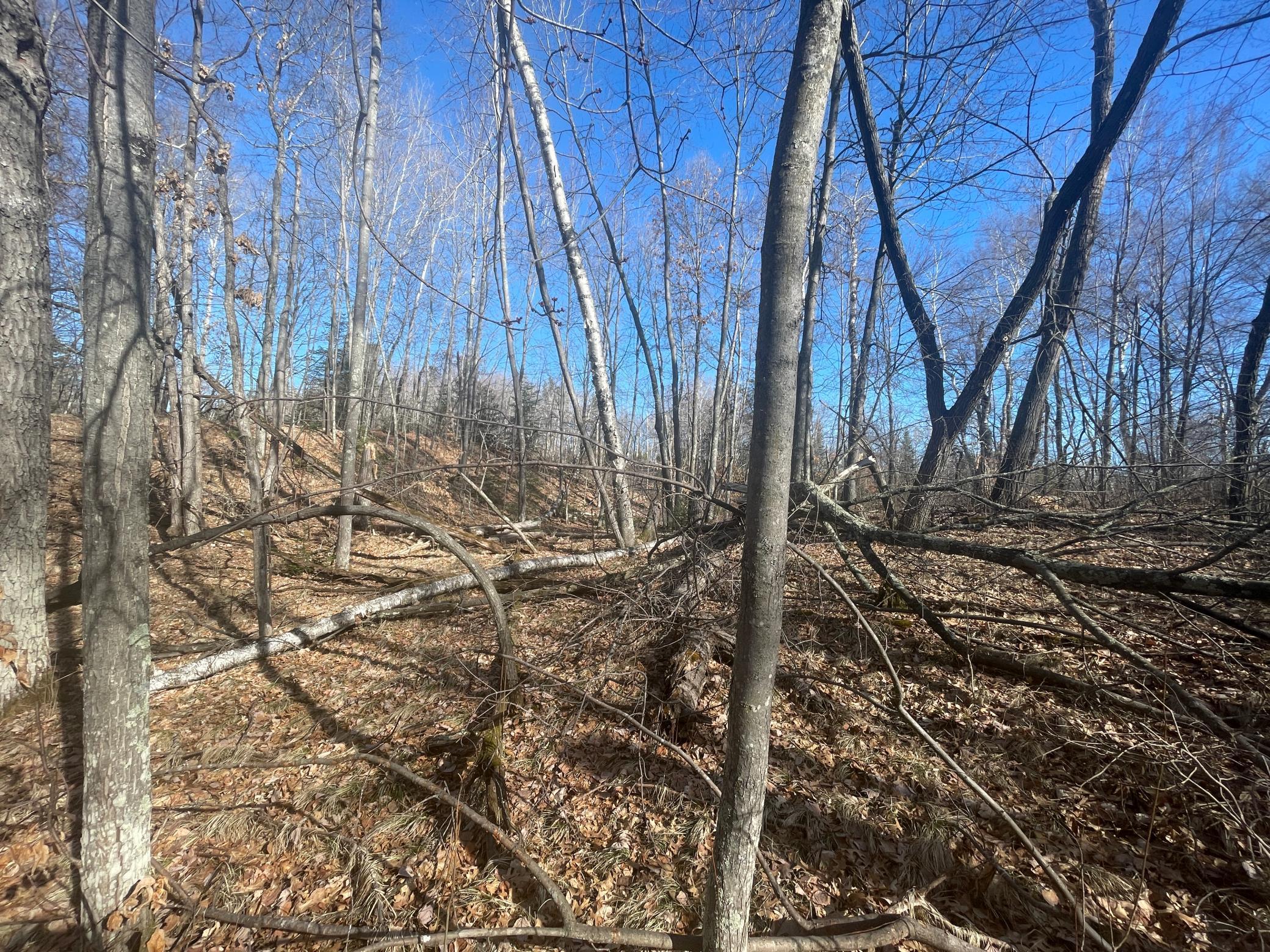 View of Land at Lots 129-131 Ski Chalet Drive, Breezy Point MN 56472, Breezy Point (6 of 17) - Mike Wilen | Minnesota Team Real Estate