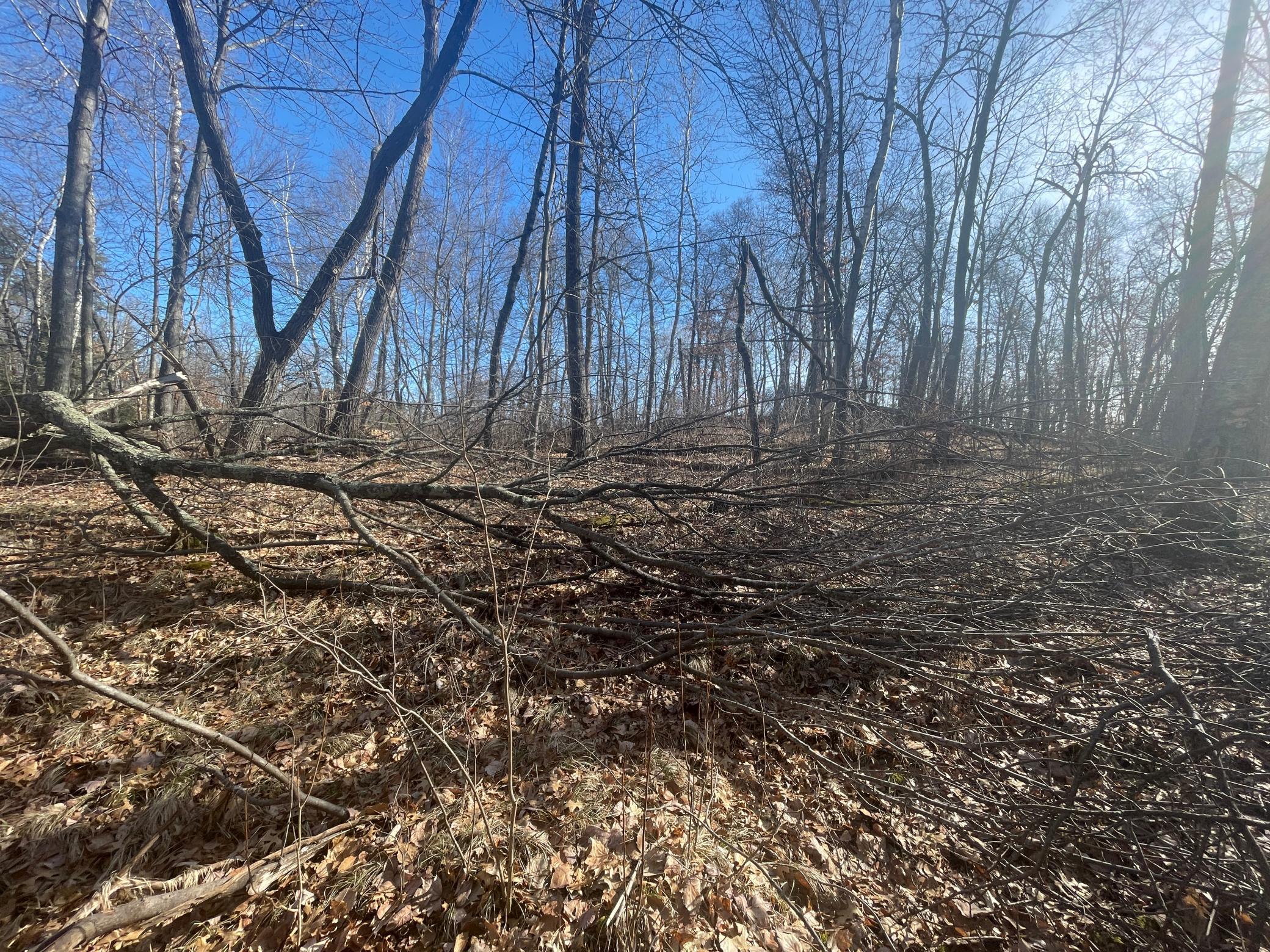 View of Land at Lots 129-131 Ski Chalet Drive, Breezy Point MN 56472, Breezy Point (7 of 17) - Mike Wilen | Minnesota Team Real Estate