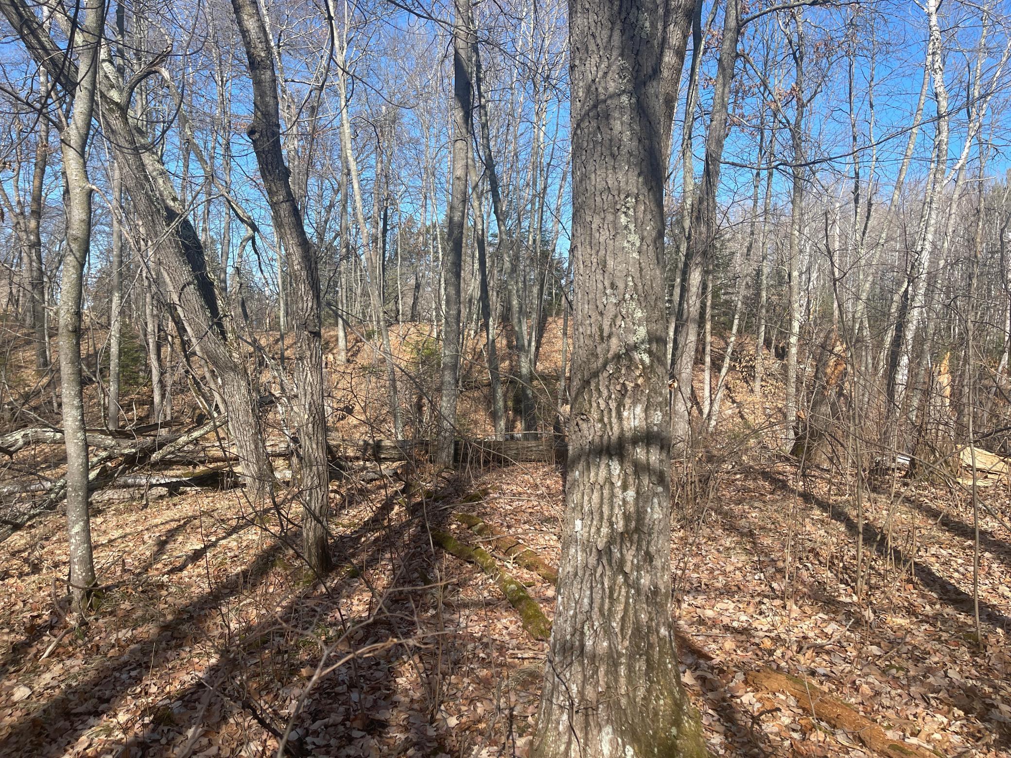 View of Land at Lots 129-131 Ski Chalet Drive, Breezy Point MN 56472, Breezy Point (8 of 17) - Mike Wilen | Minnesota Team Real Estate