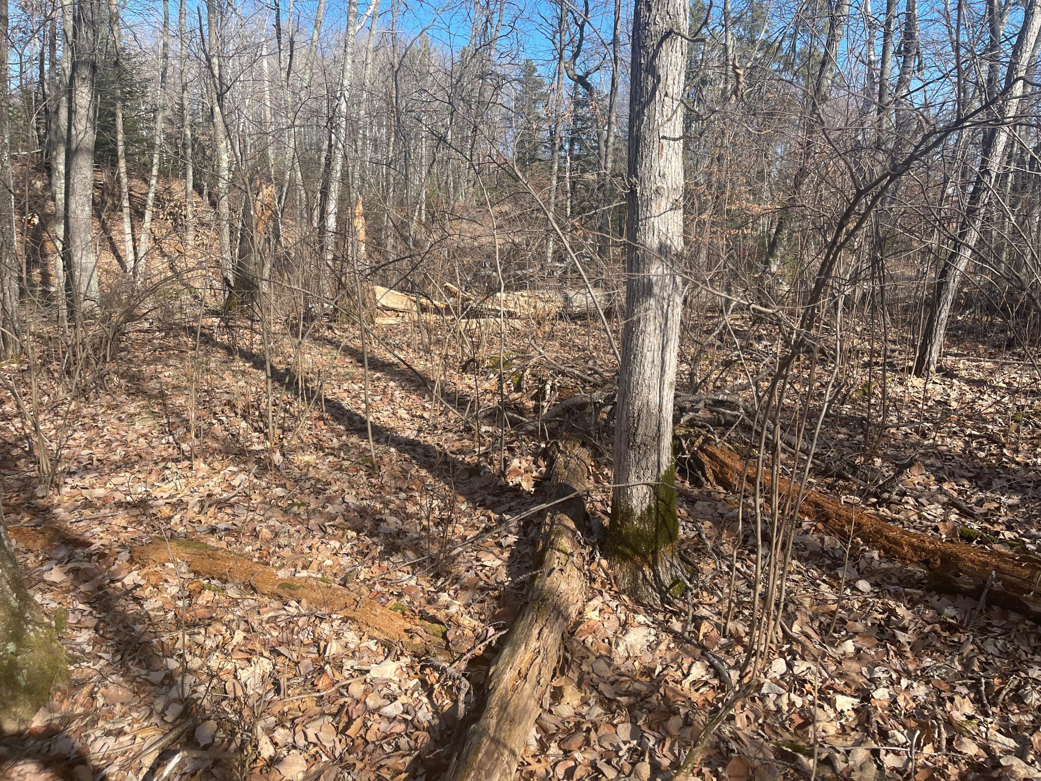 View of Land at Lots 129-131 Ski Chalet Drive, Breezy Point MN 56472, Breezy Point (9 of 17) - Mike Wilen | Minnesota Team Real Estate