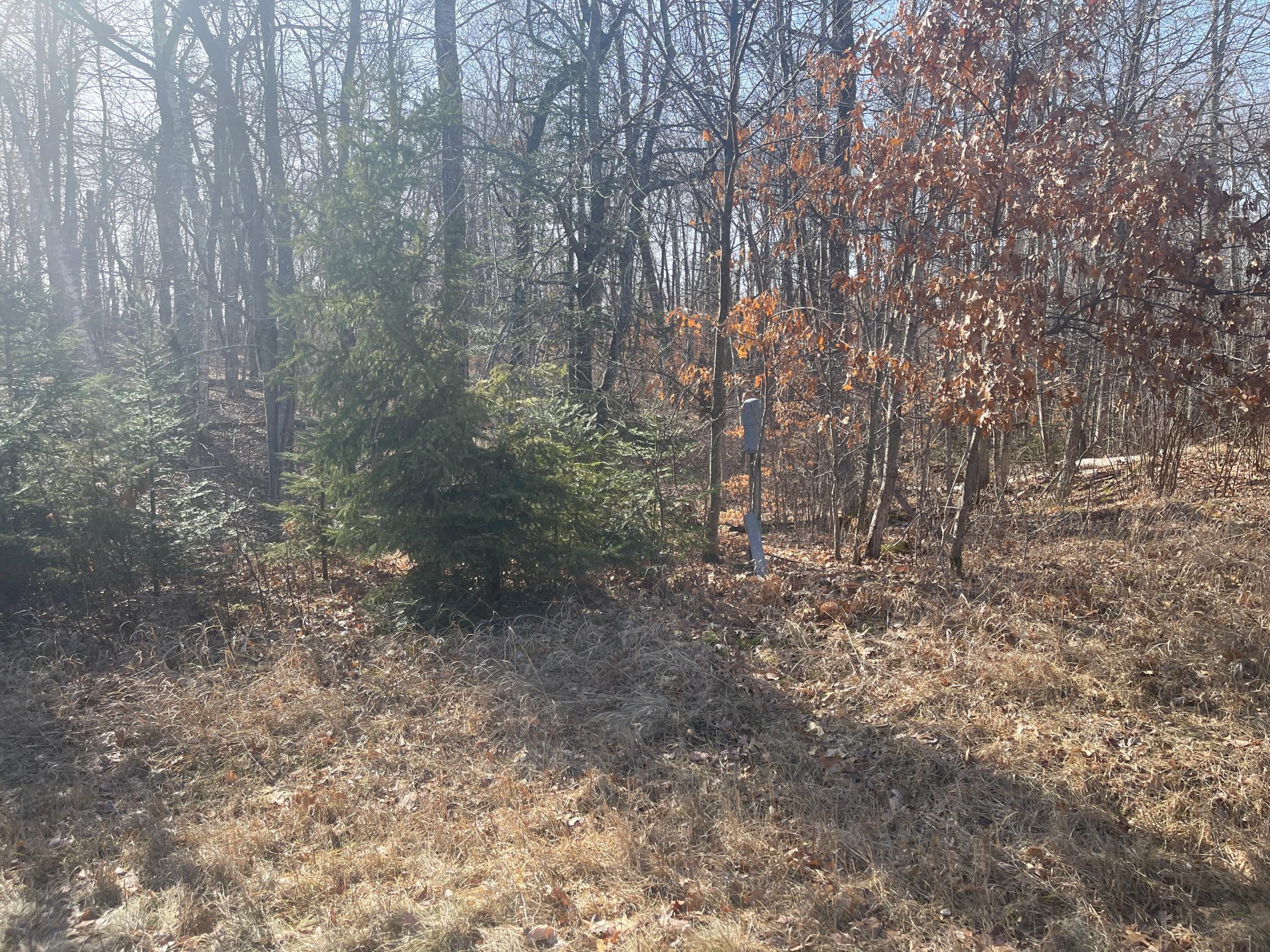 View of Land at Lots 129-131 Ski Chalet Drive, Breezy Point MN 56472, Breezy Point (10 of 17) - Mike Wilen | Minnesota Team Real Estate