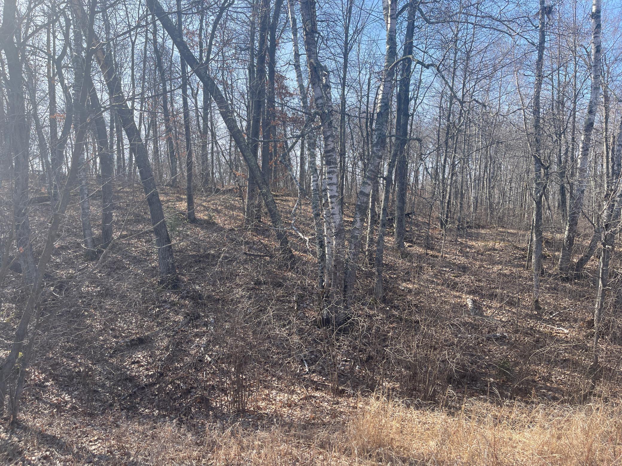 View of Land at Lots 129-131 Ski Chalet Drive, Breezy Point MN 56472, Breezy Point (11 of 17) - Mike Wilen | Minnesota Team Real Estate