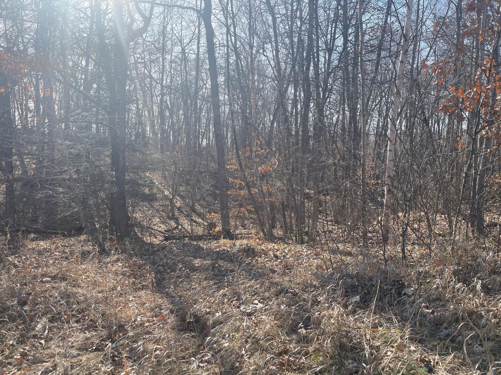 View of Land at Lots 129-131 Ski Chalet Drive, Breezy Point MN 56472, Breezy Point (12 of 17) - Mike Wilen | Minnesota Team Real Estate