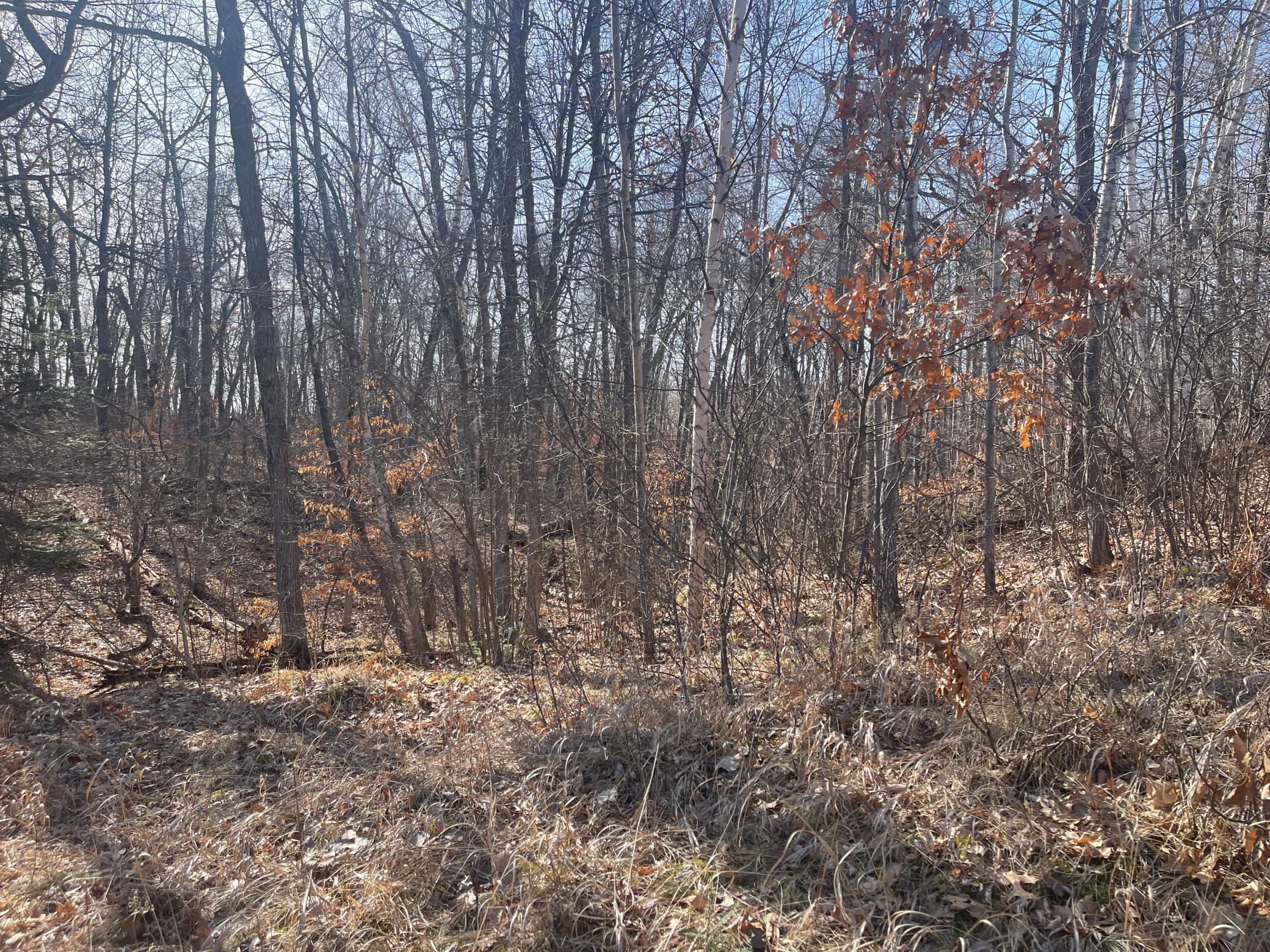 View of Land at Lots 129-131 Ski Chalet Drive, Breezy Point MN 56472, Breezy Point (13 of 17) - Mike Wilen | Minnesota Team Real Estate