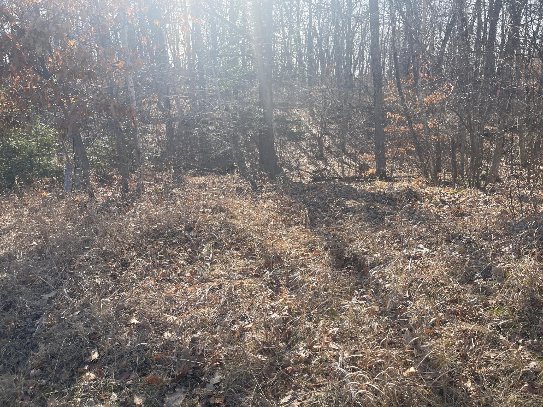 View of Land at Lots 129-131 Ski Chalet Drive, Breezy Point MN 56472, Breezy Point (14 of 17) - Mike Wilen | Minnesota Team Real Estate