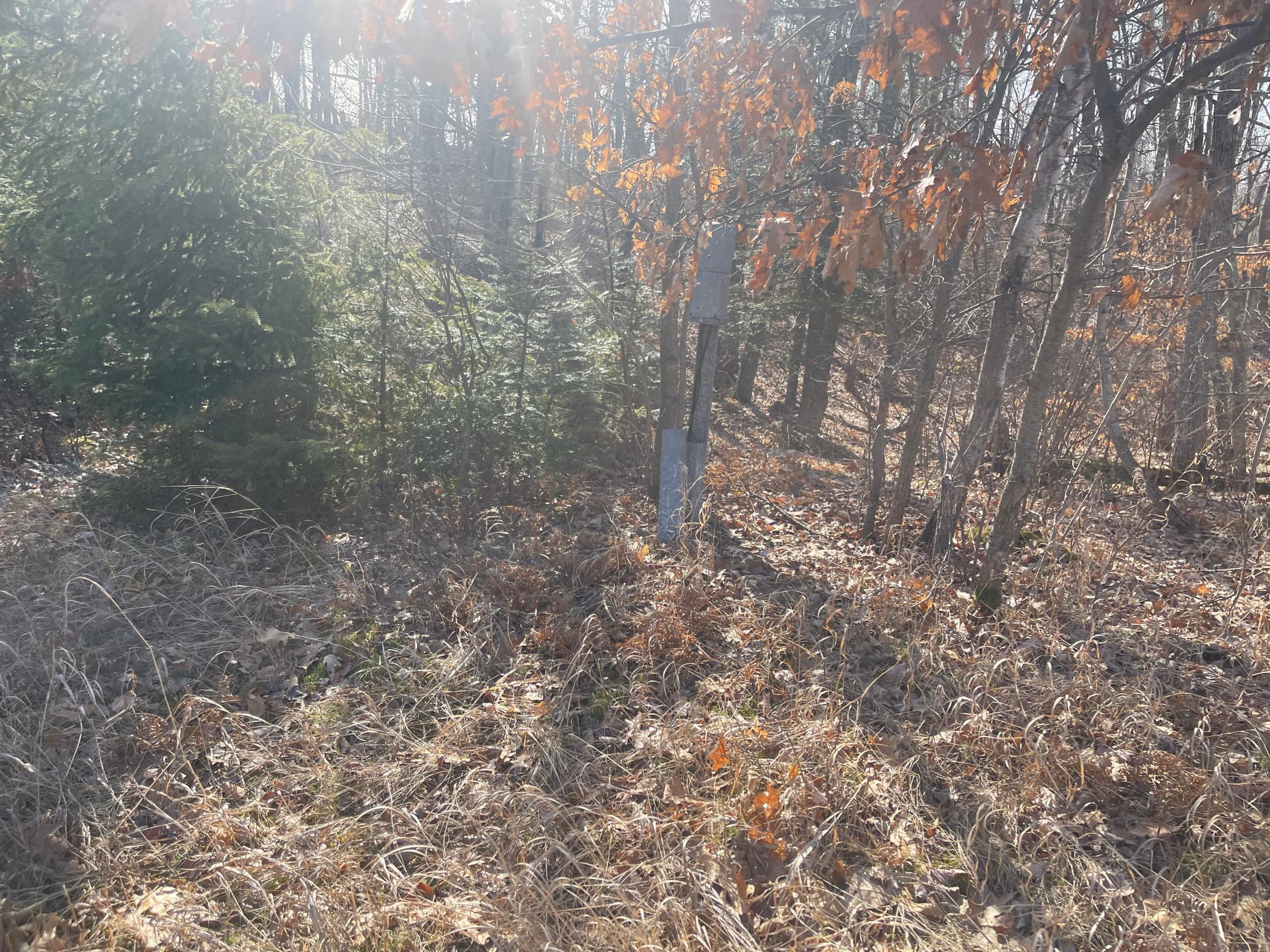 View of Land at Lots 129-131 Ski Chalet Drive, Breezy Point MN 56472, Breezy Point (15 of 17) - Mike Wilen | Minnesota Team Real Estate