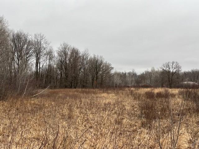 View of Land at 160xx Furuby Road, Center City MN 55012, Center City - Mike Wilen | Minnesota Team Real Estate