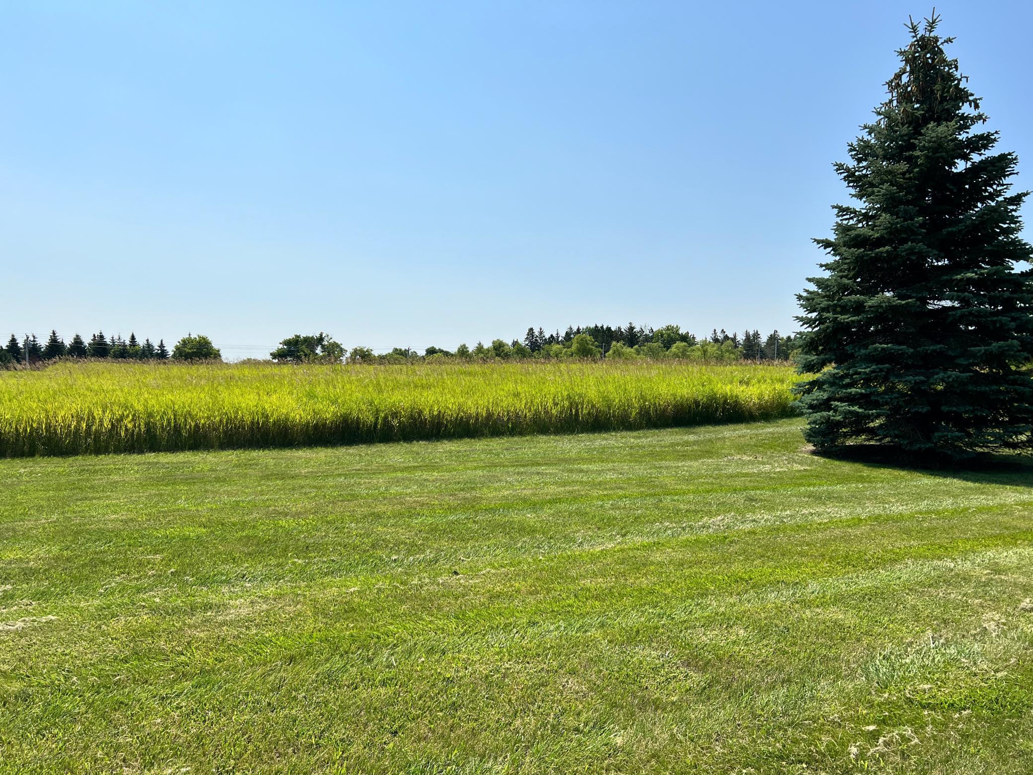 View of Land at 0 Foxfield Drive, Prior Lake MN 55372, Prior Lake - Mike Wilen | Minnesota Team Real Estate