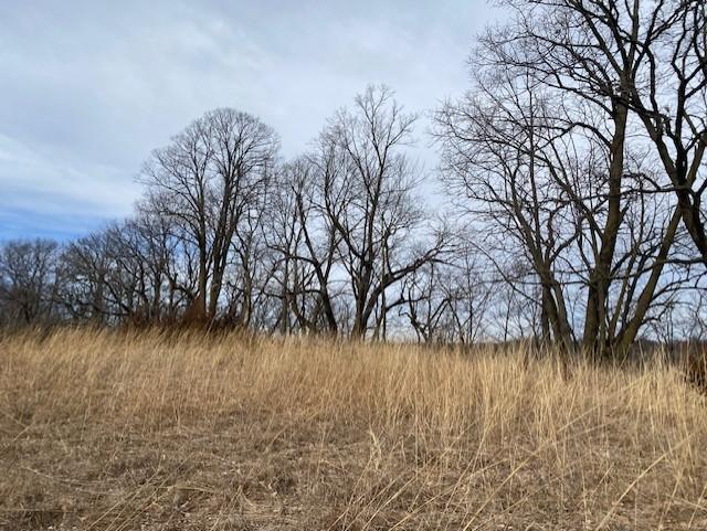 View of Land at xxx2 CSAH 39, Monticello MN 55362, Monticello (28 of 51) - Mike Wilen | Minnesota Team Real Estate