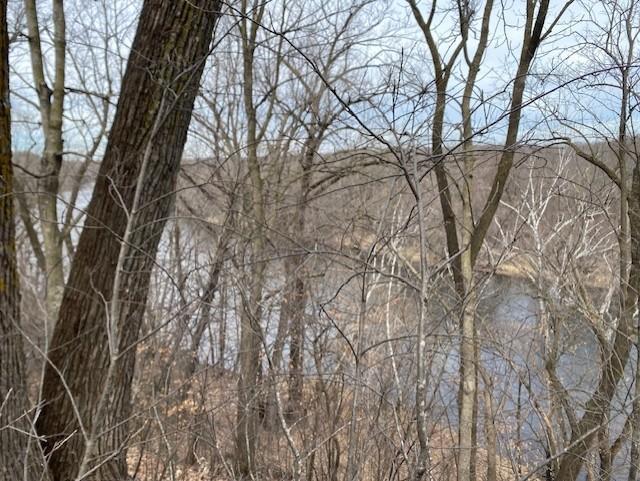 View of Land at xxx2 CSAH 39, Monticello MN 55362, Monticello (36 of 51) - Mike Wilen | Minnesota Team Real Estate