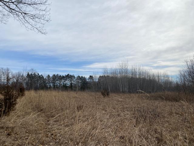 View of Land at xxx2 CSAH 39, Monticello MN 55362, Monticello (35 of 51) - Mike Wilen | Minnesota Team Real Estate