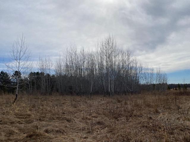View of Land at xxx2 CSAH 39, Monticello MN 55362, Monticello (34 of 51) - Mike Wilen | Minnesota Team Real Estate