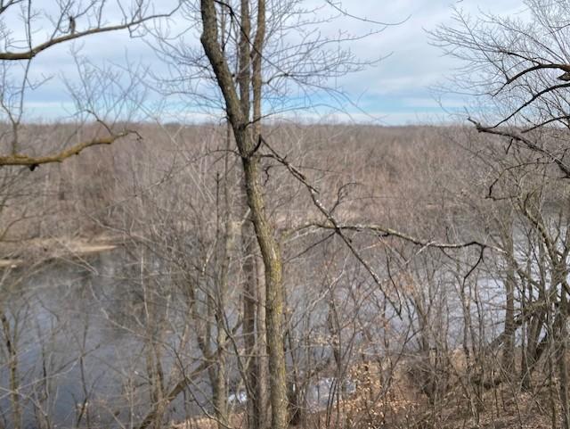 View of Land at xxx2 CSAH 39, Monticello MN 55362, Monticello (31 of 51) - Mike Wilen | Minnesota Team Real Estate