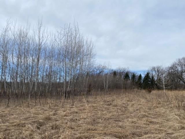 View of Land at xxx2 CSAH 39, Monticello MN 55362, Monticello (51 of 51) - Mike Wilen | Minnesota Team Real Estate