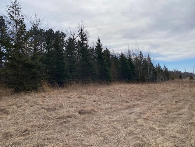 View of Land at xxx2 CSAH 39, Monticello MN 55362, Monticello (50 of 51) - Mike Wilen | Minnesota Team Real Estate