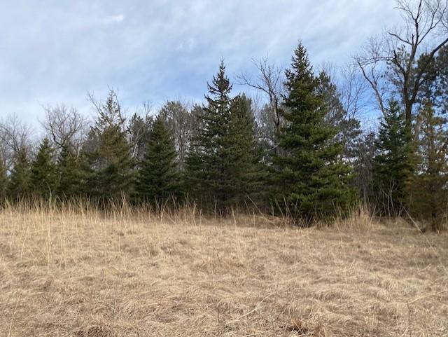 View of Land at xxx2 CSAH 39, Monticello MN 55362, Monticello (49 of 51) - Mike Wilen | Minnesota Team Real Estate