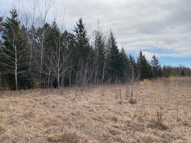 View of Land at xxx2 CSAH 39, Monticello MN 55362, Monticello (48 of 51) - Mike Wilen | Minnesota Team Real Estate