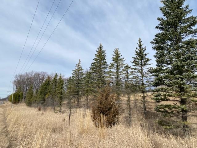 View of Land at xxx2 CSAH 39, Monticello MN 55362, Monticello (47 of 51) - Mike Wilen | Minnesota Team Real Estate