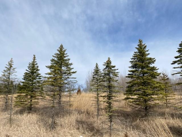 View of Land at xxx2 CSAH 39, Monticello MN 55362, Monticello (46 of 51) - Mike Wilen | Minnesota Team Real Estate
