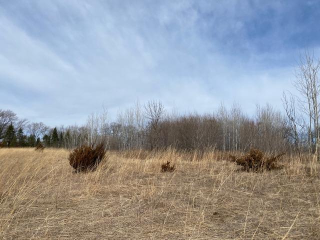 View of Land at xxx2 CSAH 39, Monticello MN 55362, Monticello (44 of 51) - Mike Wilen | Minnesota Team Real Estate