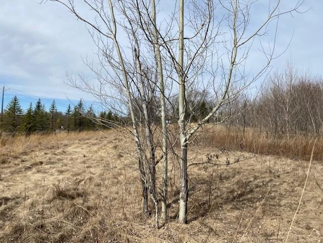 View of Land at xxx2 CSAH 39, Monticello MN 55362, Monticello (43 of 51) - Mike Wilen | Minnesota Team Real Estate