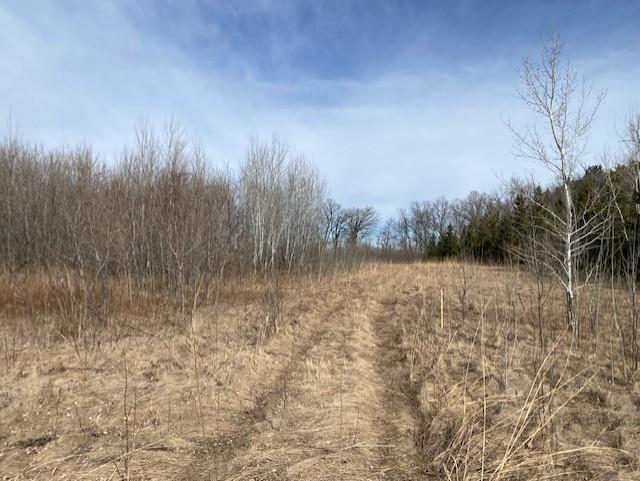 View of Land at xxx2 CSAH 39, Monticello MN 55362, Monticello (42 of 51) - Mike Wilen | Minnesota Team Real Estate