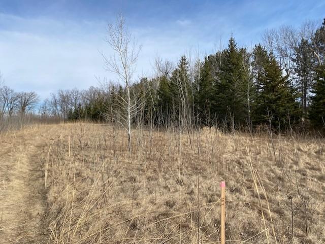 View of Land at xxx2 CSAH 39, Monticello MN 55362, Monticello (41 of 51) - Mike Wilen | Minnesota Team Real Estate