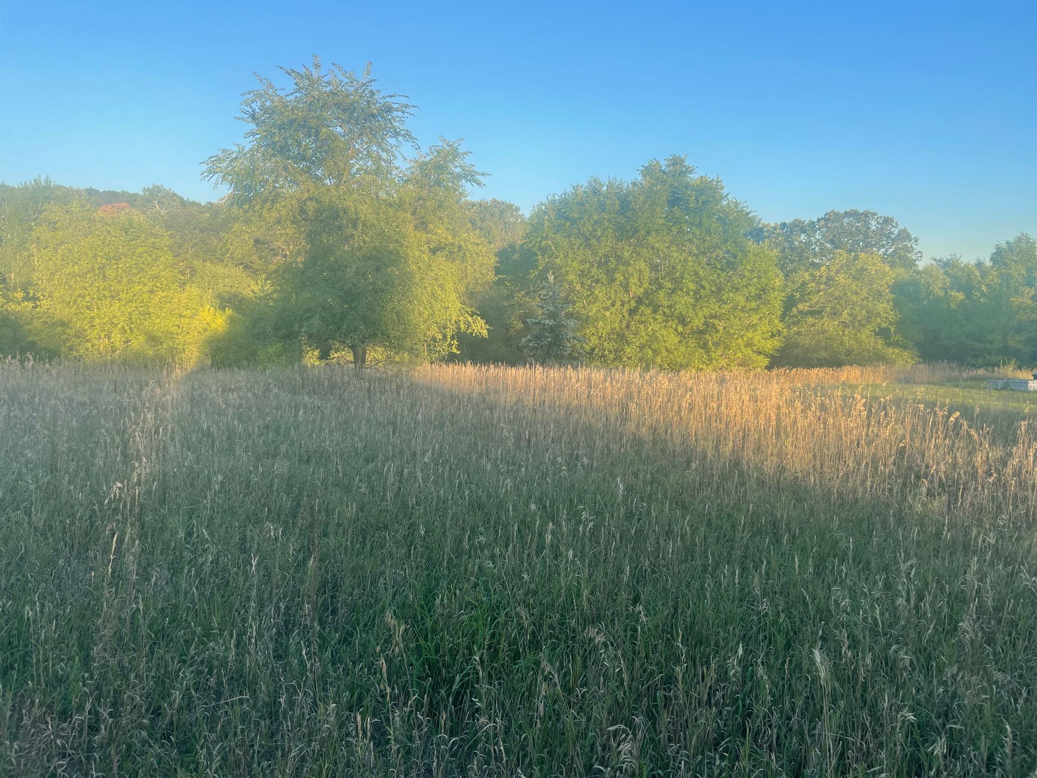 View of Land at xxx 177th Avenue, Becker MN 55308, Becker - Mike Wilen | Minnesota Team Real Estate