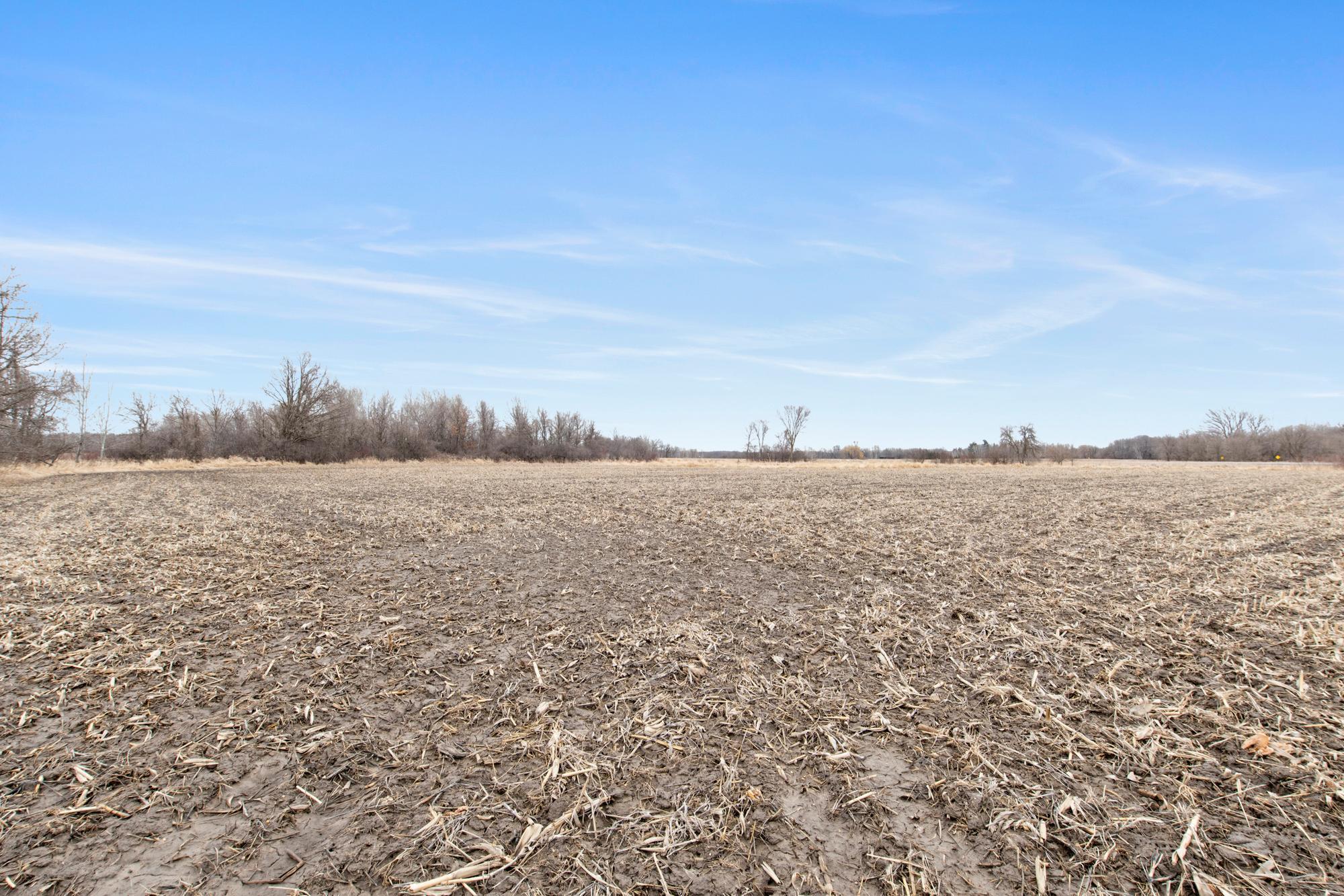 View of Land at 77XX 381st Avenue, Dalbo MN 55017, Dalbo - Mike Wilen | Minnesota Team Real Estate