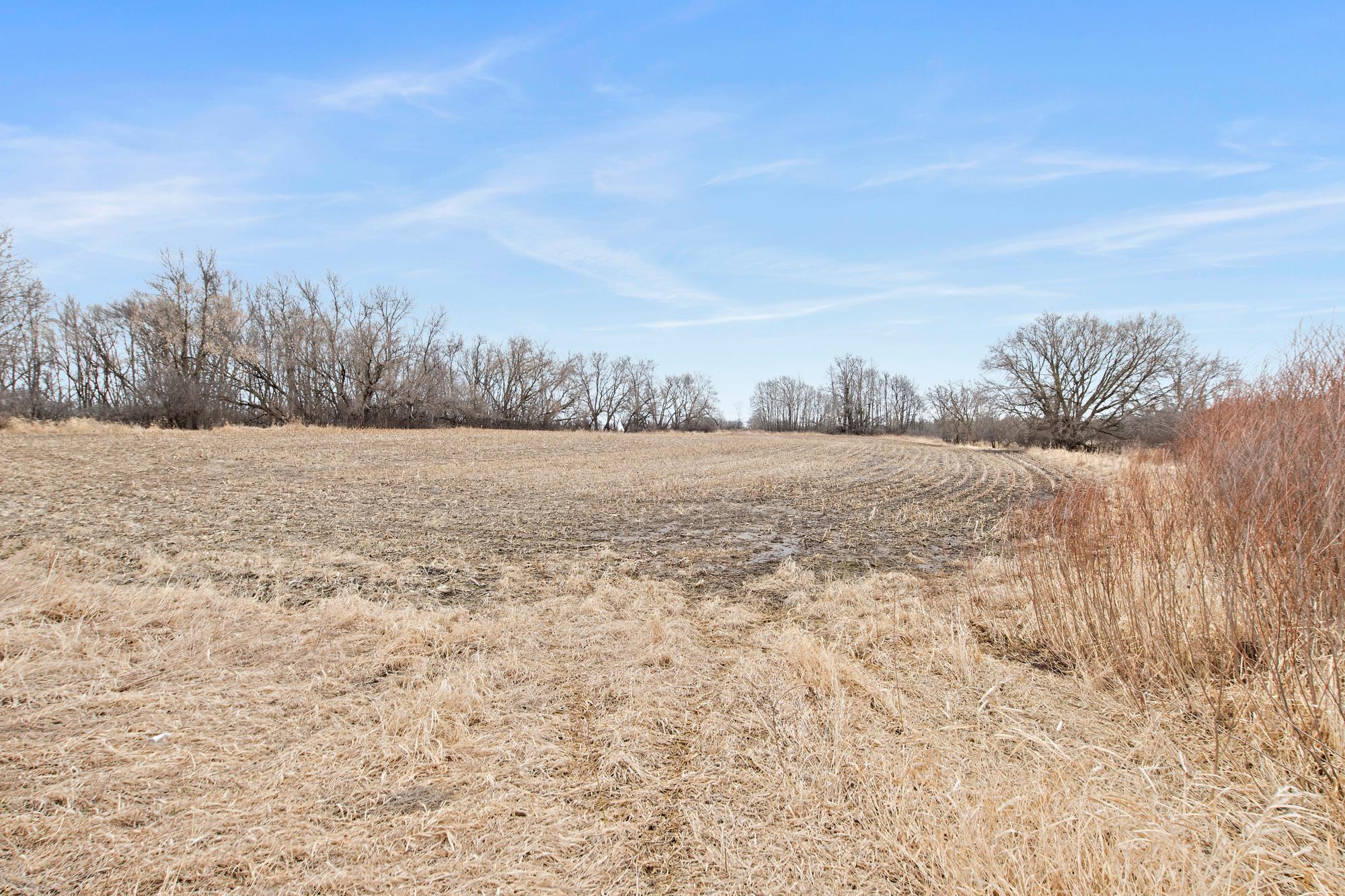 View of Land at 38xxx Variolite Street, Dalbo MN 55017, Dalbo - Mike Wilen | Minnesota Team Real Estate