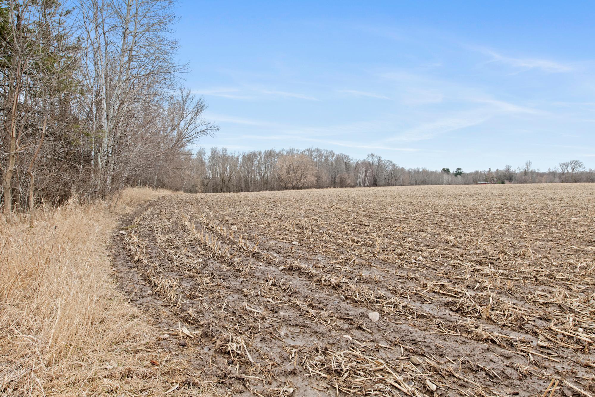 View of Land at 75XX 383rd Avenue, Dalbo MN 55017, Dalbo - Mike Wilen | Minnesota Team Real Estate