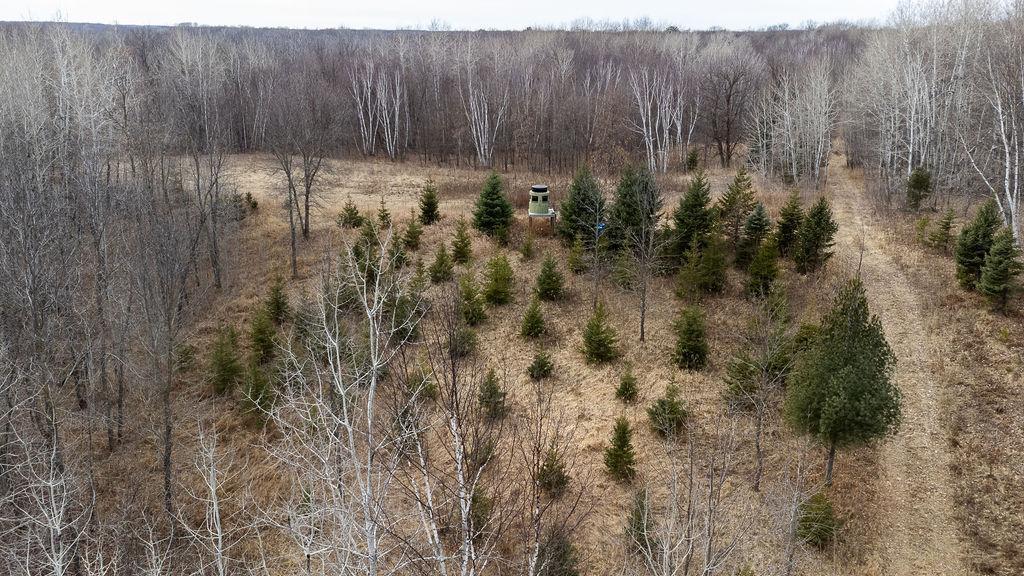 View of Land at XXX Tamarac Road, Onamia MN 56359, Onamia - Mike Wilen | Minnesota Team Real Estate