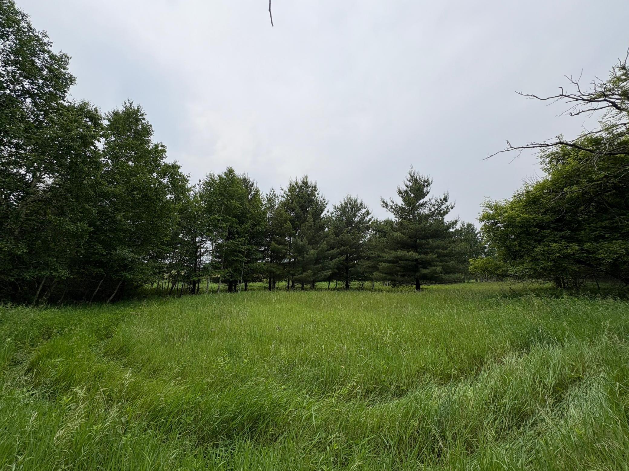 View of Land at Lot 4 Lever Street, Isanti MN 55040, Isanti - Mike Wilen | Minnesota Team Real Estate