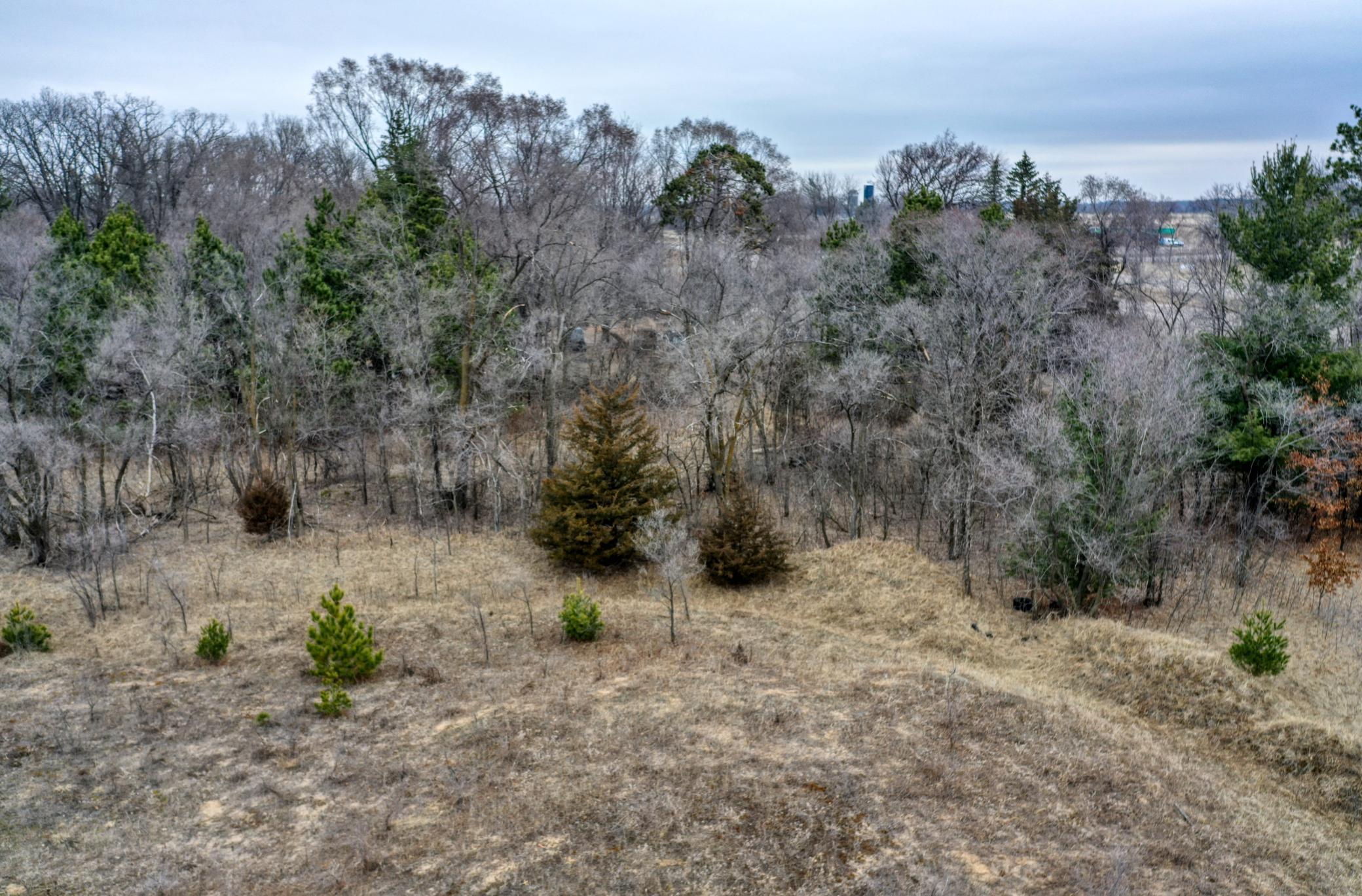 View of Land at 23592 Ulysses Street, East Bethel MN 55005, East Bethel (13 of 16) - Mike Wilen | Minnesota Team Real Estate