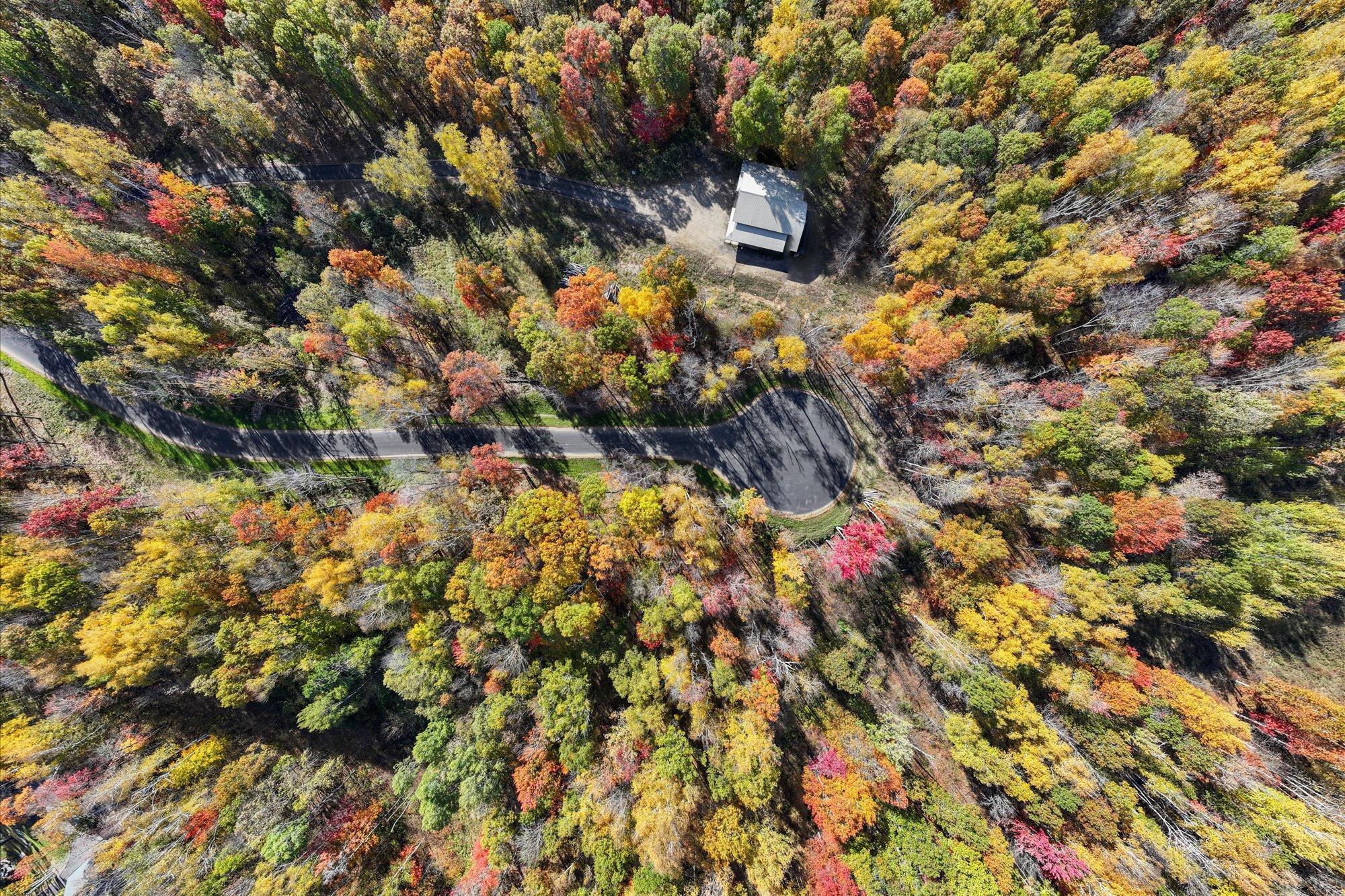 View of Land at L7B1 Shady Lane, Crosslake MN 56442, Crosslake (14 of 15) - Mike Wilen | Minnesota Team Real Estate